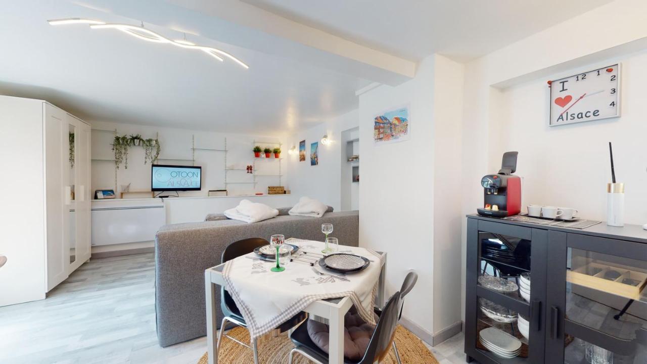 Studio Avec Parking Rue De La Semm Colmar Dış mekan fotoğraf